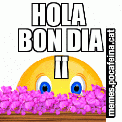 HOLA  BON DIA ¡¡