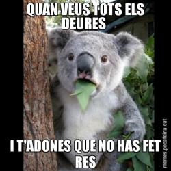 QUAN VEUS TOTS ELS DEURES  I T'ADONES QUE NO HAS FET RES