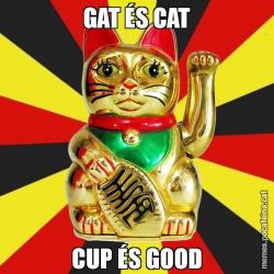 GAT ÉS CAT CUP ÉS GOOD