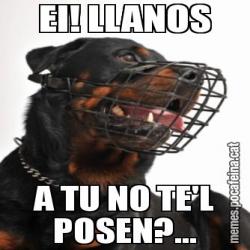 EI! LLANOS A TU NO TE'L POSEN?...