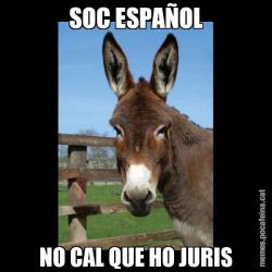 SOC ESPAÑOL NO CAL QUE HO JURIS