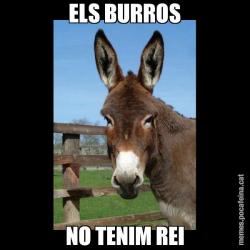 ELS BURROS NO TENIM REI