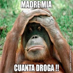 MADRE MIA CUANTA DROGA !!