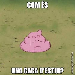 COM ÉS UNA CACA D'ESTIU?