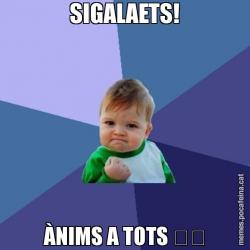 SIGALAETS! ÀNIMS A TOTS ❤️