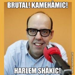 BRUTAL! KAMEHÀMIC! HARLEM SHÀKIC!
