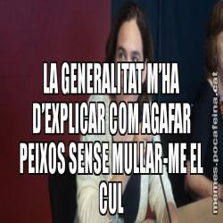 LA GENERALITAT M’HA D’EXPLICAR COM AGAFAR PEIXOS SENSE MULLAR-ME EL CUL