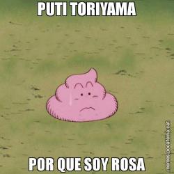 PUTI TORIYAMA POR QUE SOY ROSA