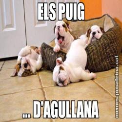 ELS PUIG ... D'AGULLANA