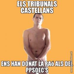 ELS TRIBUNALS CASTELLANS ENS HAN DONAT LA RAó ALS DEL PPSOEC'S