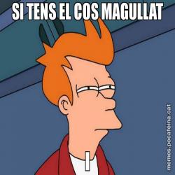 SI TENS EL COS MAGULLAT I