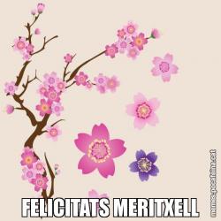 FELICITATS MERITXELL