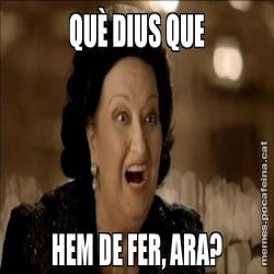 QUÈ DIUS QUE HEM DE FER, ARA?