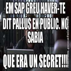 EM SAP GREU HAVER-TE DIT PALLÚS EN PÚBLIC. NO SABIA QUE ERA UN SECRET!!!