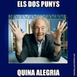 ELS DOS PUNYS QUINA ALEGRIA