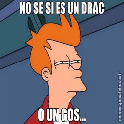 NO SE SI ES UN DRAC O UN GOS...