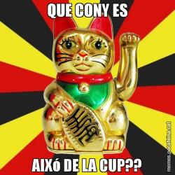QUE CONY ES AIXó DE LA CUP??