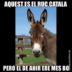 AQUEST ES EL RUC CATALA PERO EL DE AHIR ERE MES BO