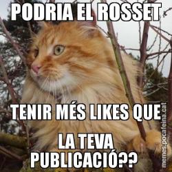 PODRIA EL ROSSET TENIR MÉS LIKES QUE LA TEVA PUBLICACIÓ??