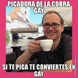 PICADURA DE LA COBRA GAY SI TE PICA TE CONVIERTES EN GAY