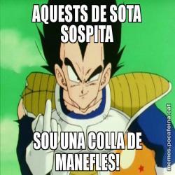 AQUESTS DE SOTA SOSPITA SOU UNA COLLA DE MANEFLES!