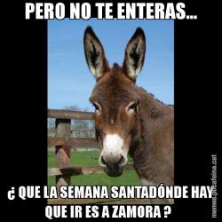 PERO NO TE ENTERAS... ¿ QUE LA SEMANA SANTADÓNDE HAY QUE IR ES A ZAMORA ?