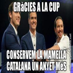 GRàCIES A LA CUP CONSERVEM LA MAMELLA CATALANA UN ANYET MéS