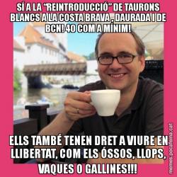 SÍ A LA “REINTRODUCCIÓ” DE TAURONS BLANCS A LA COSTA BRAVA , DAURADA I DE BCN! 40 COM A MÍNIM! ELLS TAMBÉ TENEN DRET A VIURE EN LLIBERTAT, COM ELS ÓSSOS, LLOPS, VAQUES O GALLINES!!!