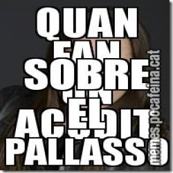 QUAN FAN UN ACUDIT SOBRE EL PALLASSO