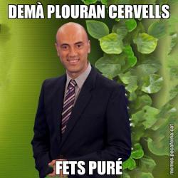 DEMÀ PLOURAN CERVELLS FETS PURÉ