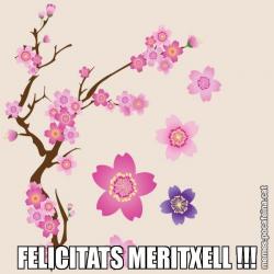 FELICITATS MERITXELL !!!