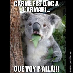 CARME FES LLOC A L'ARMARI... QUE VOY P'ALLÁ!!!