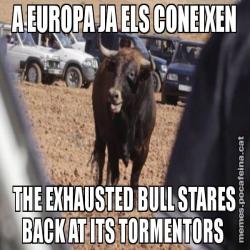 A EUROPA JA ELS CONEIXEN THE EXHAUSTED BULL STARES BACK AT ITS TORMENTORS