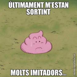 ÚLTIMAMENT M'ESTAN SORTINT MOLTS IMITADORS...