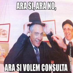 ARA SI, ARA NO, ARA SI VOLEM CONSULTA