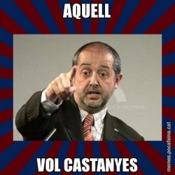 AQUELL VOL CASTANYES