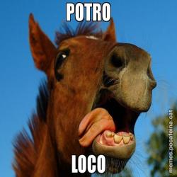 POTRO LOCO