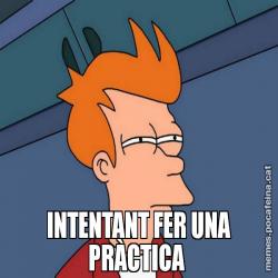INTENTANT FER UNA PRÀCTICA