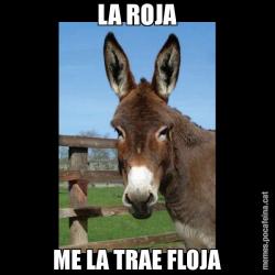 LA ROJA ME LA TRAE FLOJA