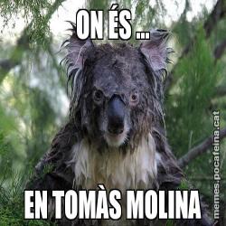 ON ÉS ... EN TOMÀS MOLINA