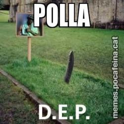 POLLA