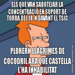 ELS QUE VAN SABOTEJAR LA CONCENTRACIÓ EN SUPORT DE TORRA DEL 18-N DAVANT EL TSJC PLORERN LLÀGRIMES DE COCODRIL ARA QUE CASTELLA L'HA INHABILITAT