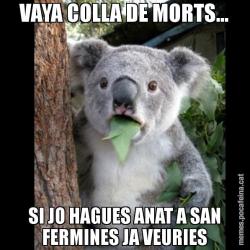 VAYA COLLA DE MORTS... SI JO HAGUES ANAT A SAN FERMINES JA VEURIES