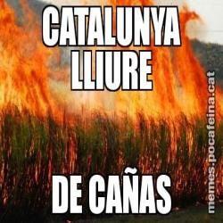 CATALUNYA LLIURE DE CAÑAS