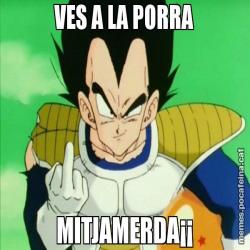 VES A LA PORRA MITJAMERDA¡¡