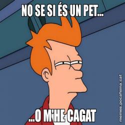 NO SE SI ÉS UN PET... ...O M'HE CAGAT