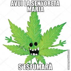 AVUI LA SENYORETA MARIA S'ESFUMARÀ