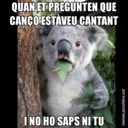 QUAN ET PREGUNTEN QUE CANÇO ESTÀVEU CANTANT I NO HO SAPS NI TU