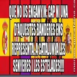 QUE NO US ENGANYIN: CAP NI UNA D'AQUESTES BANDERES ENS REPRESENTA. A CATALUNYA LES SENYERES I LES ESTELADES!!!
