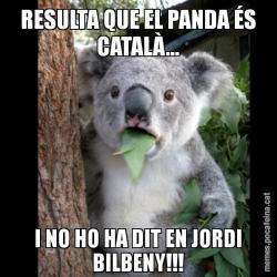 RESULTA QUE EL PANDA ÉS CATALÀ... I NO HO HA DIT EN JORDI BILBENY!!!